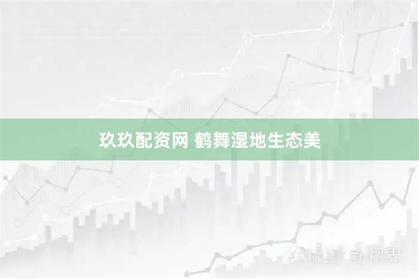 玖玖配资网 鹤舞湿地生态美
