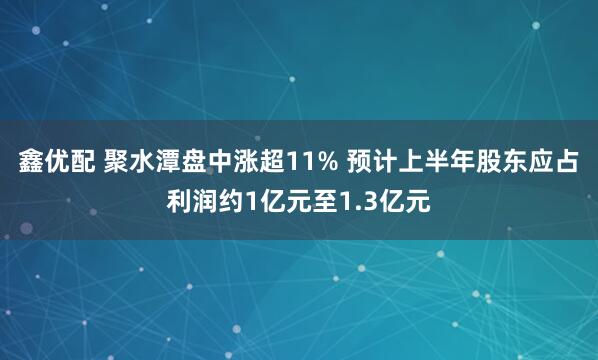 鑫优配 聚水潭盘中涨超11% 预计上半年股东应占利润约1亿元至1.3亿元